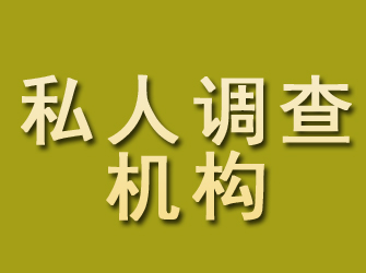 电白私人调查机构